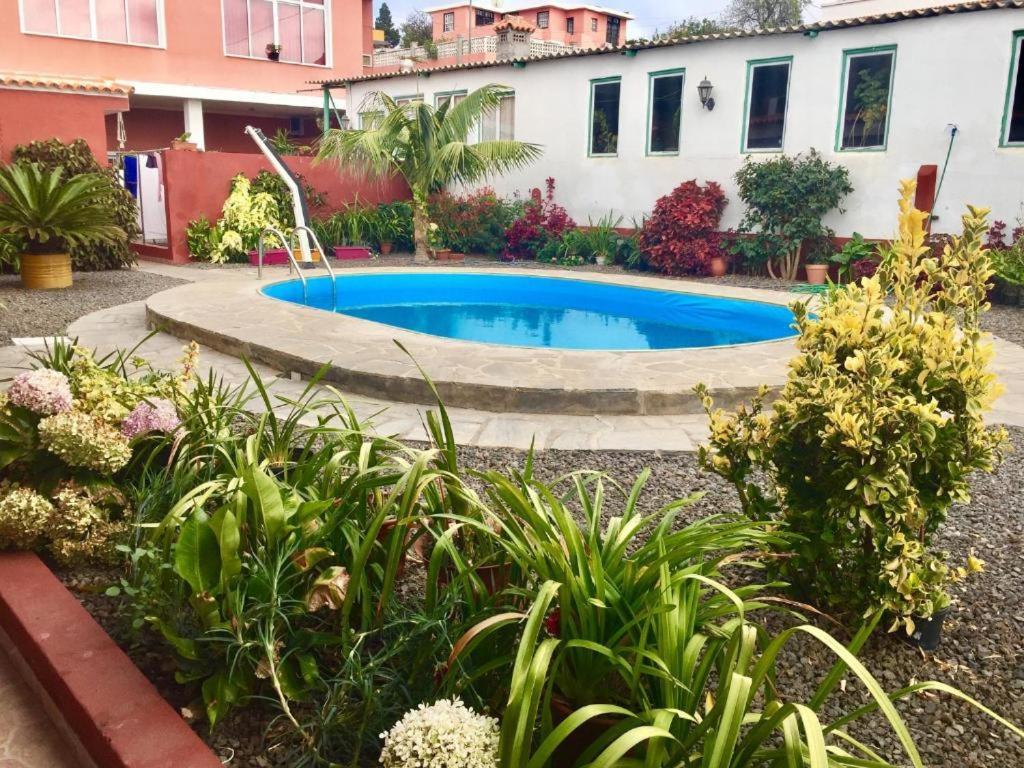 Apartament Catalino I *