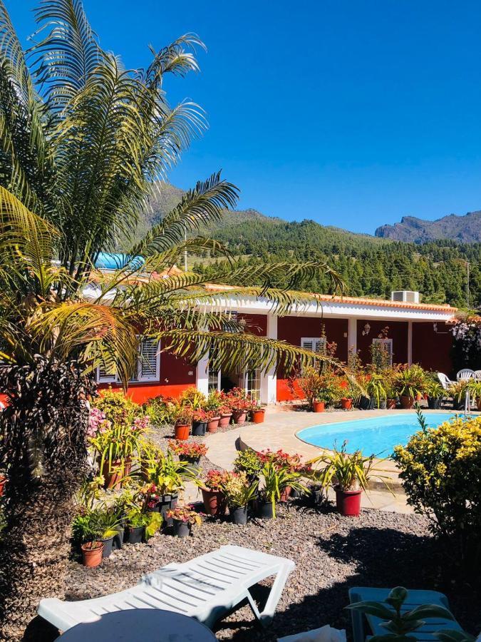 Apartament Catalino I *